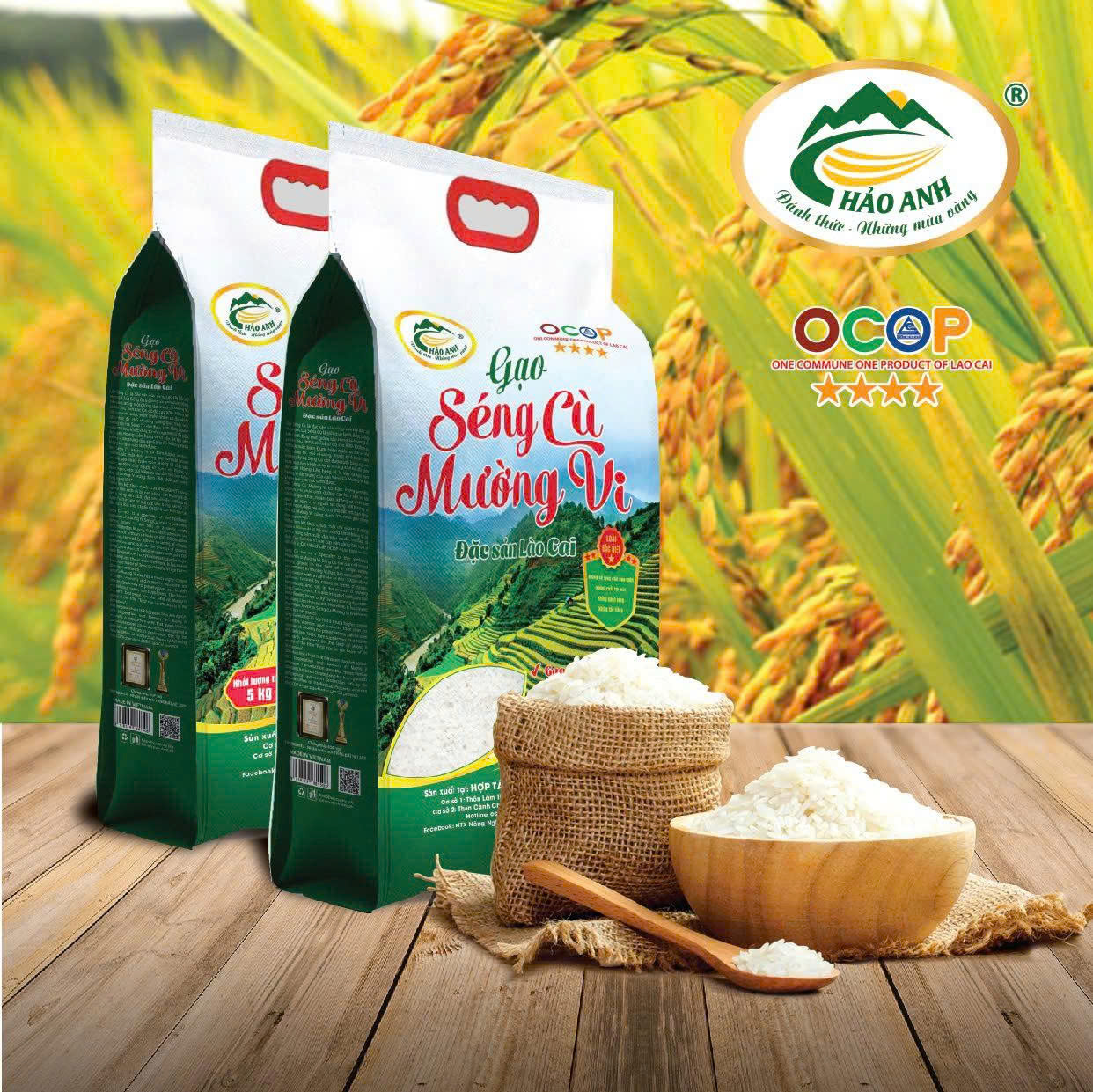 z7104697166945_2dcf84a04394db91e95a7db974aae82d